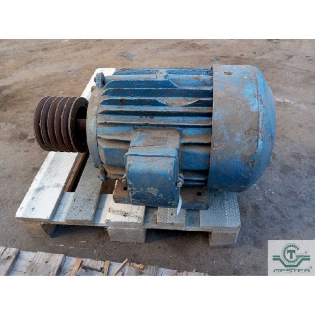 Moteur à pattes