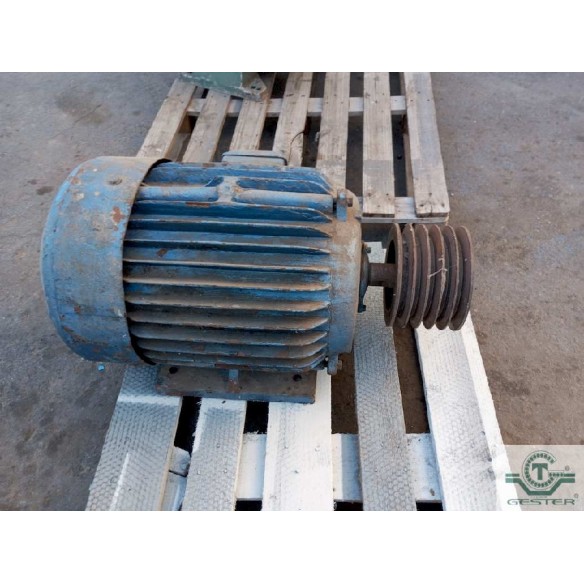 Moteur à pattes