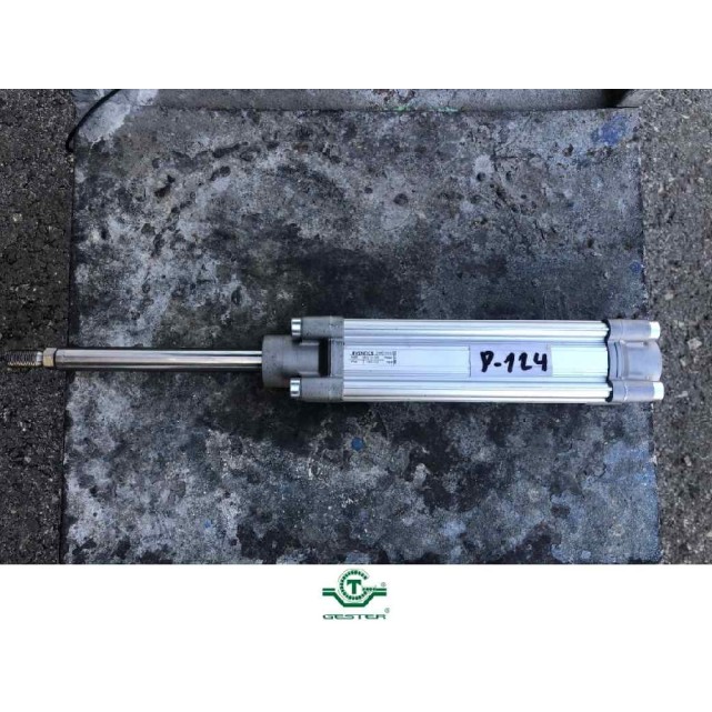 Pneumatic piston