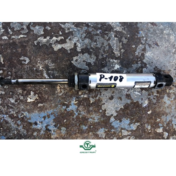 Pneumatic piston