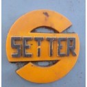 SETTER (SANTONJA)