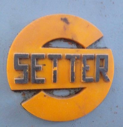 SETTER (SANTONJA)
