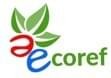 ECOREFRIGERAZIONE